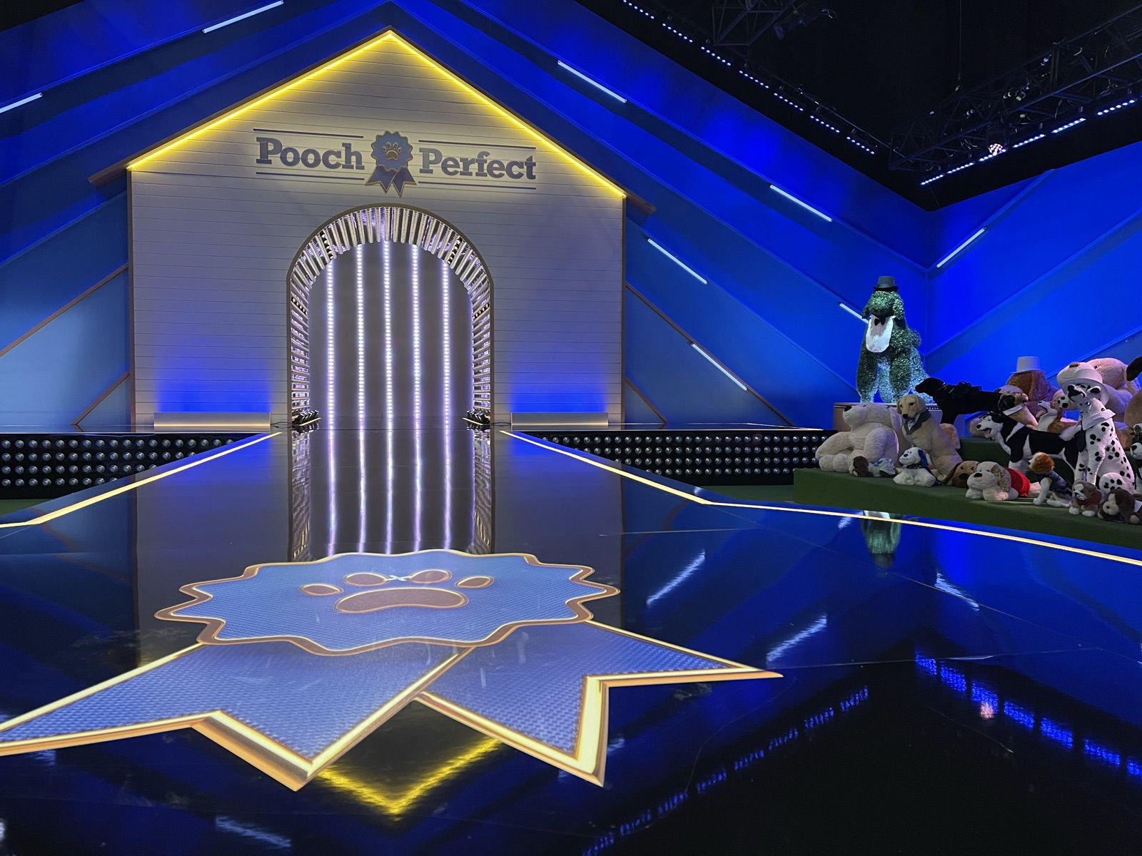 Pooch Perfect — lighting by Brandon Davis